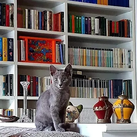 Casa Rivoluzione *